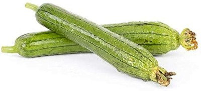 CYBEXIS Green Sponge Gourd Slender Loofah Annual Heirloom Seed800 Seeds Seed(800 per packet)