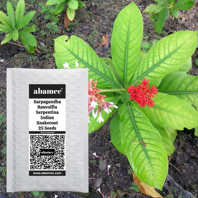 Abamec Indian Sarpagandha Seed(10 per packet)