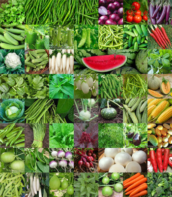 Agnico Agnico 50 Variety Of Vegetable Seeds Combo Pack With Instruction Manual.… Seed(50 per packet)