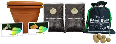 VibeX Brinjal - Gardening Kit for Home and Garden Seed(24 per packet)