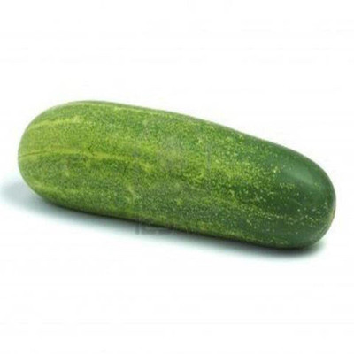 Qualtivate HUA-6A Disease-Resistant Pusa Cucumber Seed Seed(300 per packet)