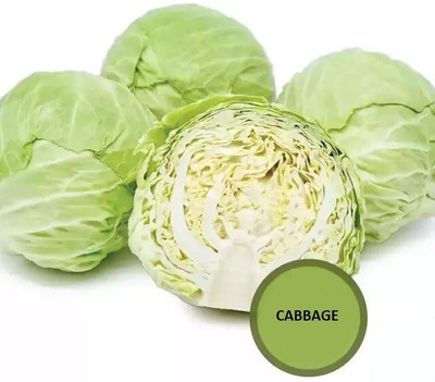 Avysa Cabbage round green (बंधा गोभी के बीज) Seed(50 per packet)