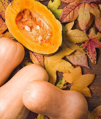 Biosnyg Squash Butternut Waltham Seed(50 per packet)