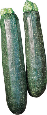 Qualtivate VXL-3AT Sure Thing Zucchini Summer Squash Seeds Seed(30 per packet)