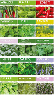 CYBEXIS 15 x varieties Combo of herbs and chillis Seed(10 g)