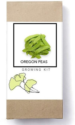 Biosnyg Oregon Beans Seed(100 per packet)