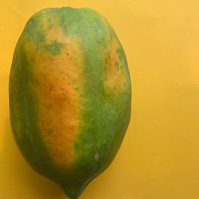 Farmonix Papaya Seed(100 per packet)