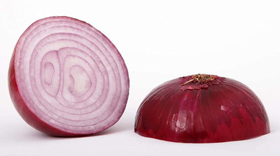 CYBEXIS GBPUT-10 - Red Onion - (13500 Seeds) Seed(13500 per packet)