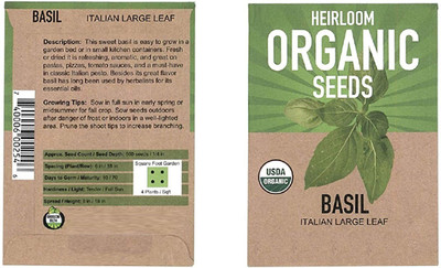CYBEXIS Organic Herb Seed Basil1000 Seeds Seed(1000 per packet)