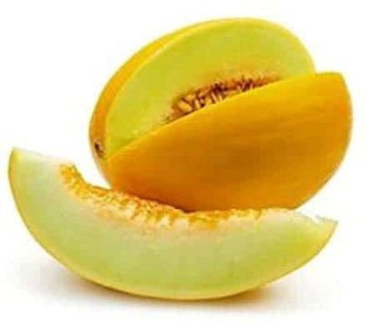 VibeX NBIR-42 - Yellow MelonCantaloupe Muskmelon Kharbuja - (1350 Seeds) Seed(1350 per packet)