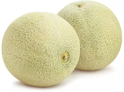 Quentova Super Sweet Musk Melon Fruit-XII-22P Seed(150 per packet)