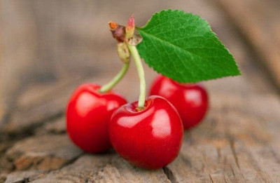 Aywal maroon cherry fruit Seed(2 per packet)