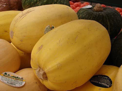 CYBEXIS Hybrid Spaghetti Squash Seeds100 Seeds Seed(100 per packet)