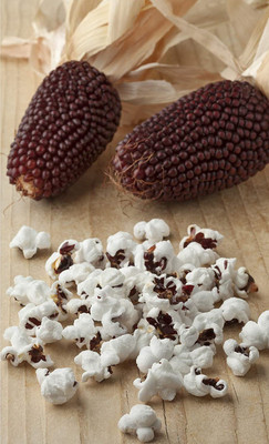 VibeX ® LXI-663 Strawberry Popcorn Seed Seed(500 per packet)