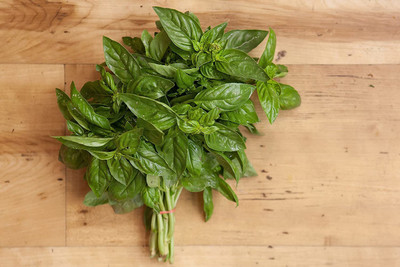 VibeX PAU-28 - Lime Basil - (4500 Seeds) Seed(4500 per packet)