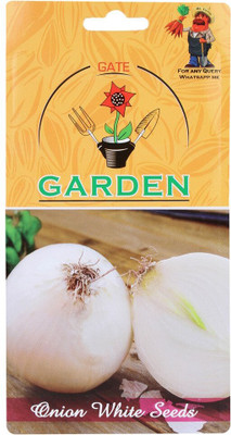 WILLVINE Garden Onion White Seed-[400 Seeds] Seed(400 per packet)