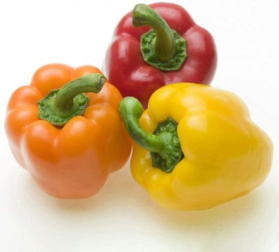 CYBEXIS Rainbow Capsicum Pepper Seeds600 Seeds Seed(600 per packet)