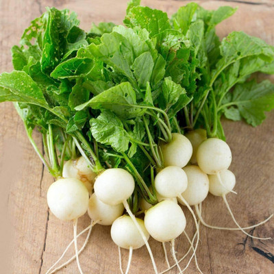 CYBEXIS Good Germination Radishes Hailstone Seeds1200 Seeds Seed(1200 per packet)