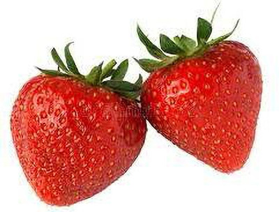 XOLDAA BEST QUALITY HYBRID STRAWBERRY Seed(165 per packet)