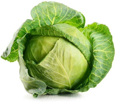 WILLVINE Cabbage Amrit Organic F1 Hybrid Seeds Good Germination-[2000 Seeds] Seed(2000 per packet)