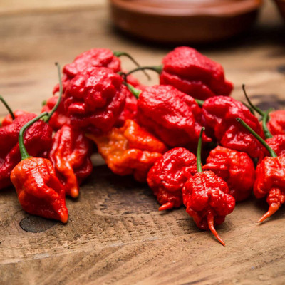 CYBEXIS High Germination Bhoot Jholakia Ghost Chilli1200 Seeds Seed(1200 per packet)