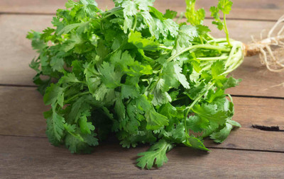 ZIXA Cilantro (Coriander) Seed(50 per packet)