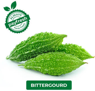 Paudhaa F1 BEST QUALITY BITTER GOURD SEEDS Seed(15 per packet)