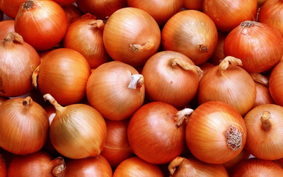 Aywal ONION Light Red Seed(100 per packet)