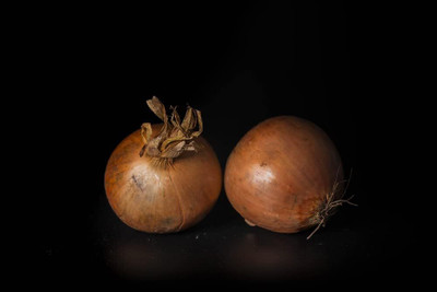 WILLVINE MAH -II Sweet Spanish Onion Seeds [5g] Seed(3000 per packet)