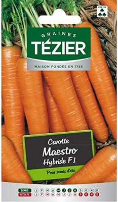 KNESSiN DLH-76 Carrot Maestro HF1 Seed(1000 per packet)