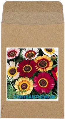 CYBEXIS Chrysanthemum Flower Seeds400 Seeds Seed(400 per packet)