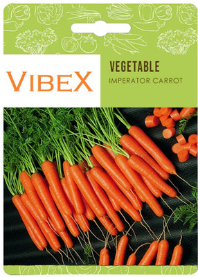 Biosnyg Imperator Carrot Seeds-[1000 Seeds] Seed(1000 per packet)