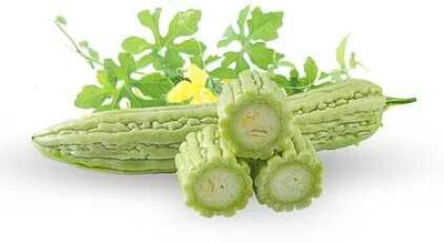 XOLDAA F1 BEST QUALITY BITTER GOURD SEEDS Seed(11 per packet)
