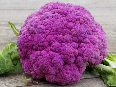 Pbevergreen Purple cauliflower Gobi seed Seed(20 per packet)