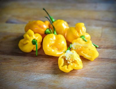 Qualtivate PUA-7A Organic Lemon Habañero Hot Pepper Chilli Seed(300 per packet)
