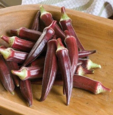 Quentova Okra, Carmine Splendor F1 Seeds-NAMO-9P Seed(150 per packet)