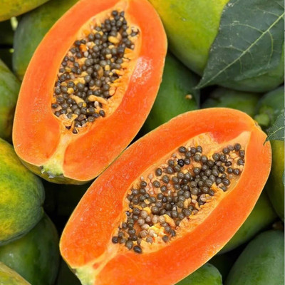 BDSresolve Hybrid papaya seeds for home garden Seed(30 per packet)