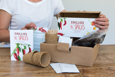 VibeX ™ MXI-265-Chillies & Spices Growing Kit Seed(30 per packet)