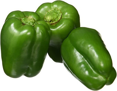 VibeX LX-81 - Hybrid Vegetable Green Capsicum - (1350 Seeds) Seed(1350 per packet)