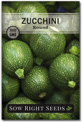 CYBEXIS ATS-50 - Round Zucchini - (675 Seeds) Seed(675 per packet)