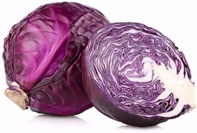 WILLVINE PUSA -XII Red Acre Cabbage Seeds [25g] Seed(7500 per packet)