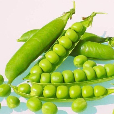 WILLVINE Organic Desi Arkel Peas Seeds-[2000 Seeds] Seed(2000 per packet)