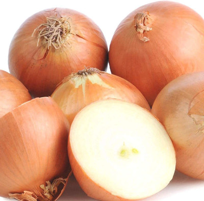 CYBEXIS High Yield Onion Seeds -500 Seeds Seed(500 per packet)