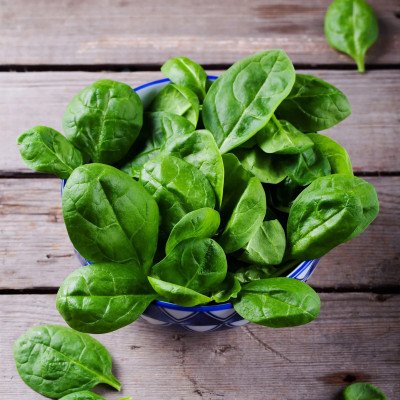 GREENSEA Palak/Spinach Seed(42 per packet)