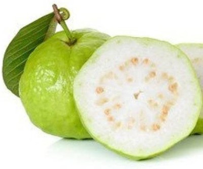 DROXTY GUAVA Seed(50 per packet)