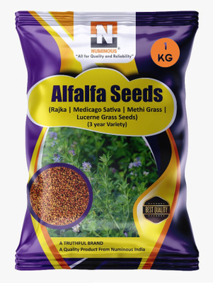 Numinous Alfalfa, Rajka, Lucerne, Methi fodder grass (3 Year Variety) Seed(1 kg)