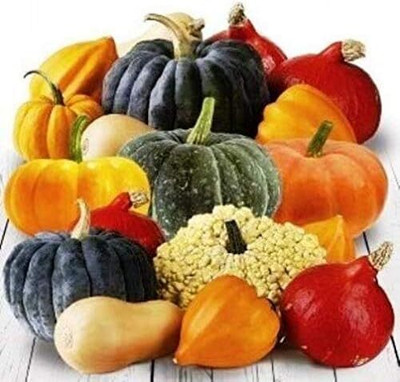KNESSiN (BIO) Giant Ornamental Mix Pumpkin Seeds For Gardening (200 Seeds) Seed(200 per packet)