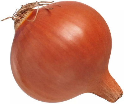 Avysa Onion yellow onion Seed(200 per packet)