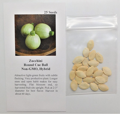 VibeX ® LXI-283 Zucchini Round Cue Ball Seed(100 per packet)