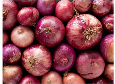 Avysa Nasik Onion Seed(1000 per packet)